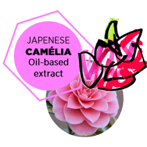 SUBTIL-ACTIF-EXTRAIT-HUILEUX-DE-CAMELIA-DU-JAPON-03-EN-300x300