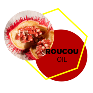 SUBTIL-ACTIF-HUILE-DE-ROUCOU-EN-300x300